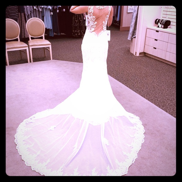 Stunning Backless Lace Wedding Gown - Picture 3 of 8